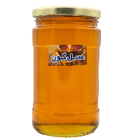 عسل گون بزرگ